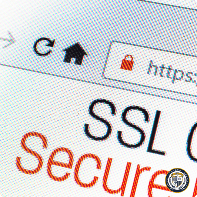 Zbliżenie na pasek przeglądarki pokazujący ikonę kłódki HTTPS oraz tekst 'SSL secure' na pixelowanym tle, symbolizujące bezpieczne połączenie internetowe