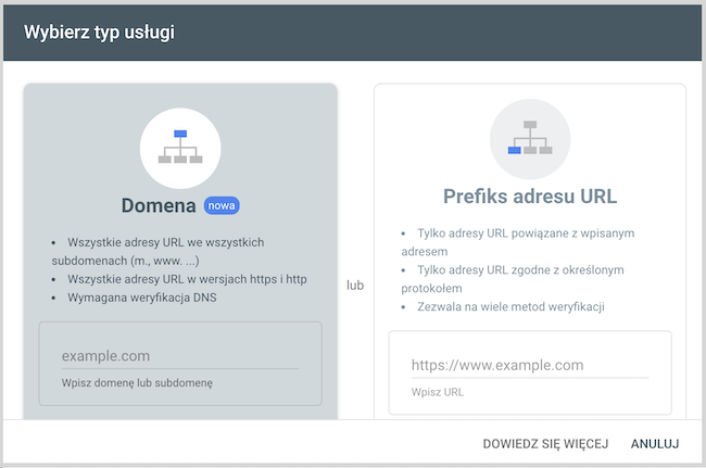 Zrzut ekranu z Google Serch Console "Wybierz typ usługi"