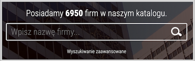 Zrzut ekranu katalogu firmy - wyszukiwarka firm