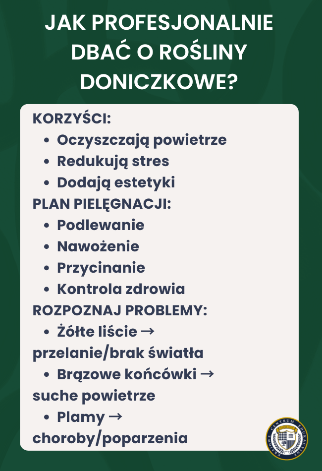 Infografika o profesjonalnej pielęgnacji roślin doniczkowych prezentująca korzyści, plan pielęgnacji i sposób rozpoznawania problemów z roślinami