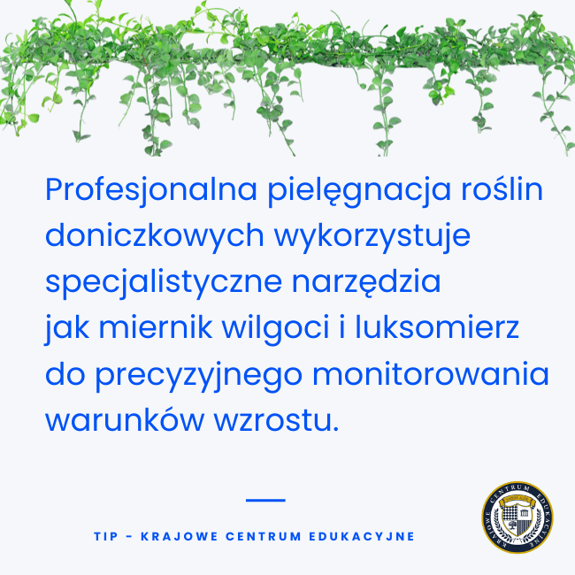 Białe tło z zielonymi liśćmi roślin pnących u góry i niebieskim tekstem poradnika dotyczącego profesjonalnej pielęgnacji roślin doniczkowych