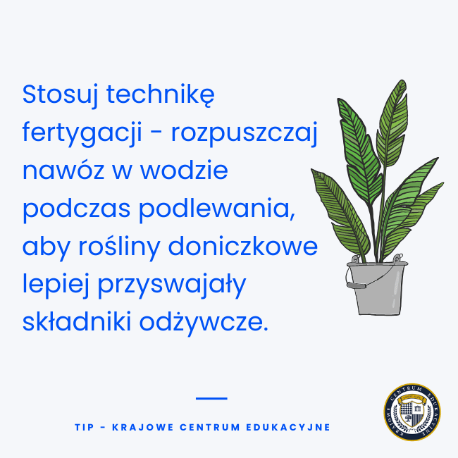 Biała grafika edukacyjna z rysunkiem rośliny w doniczce i niebieskim tekstem poradnika o fertygacji roślin doniczkowych